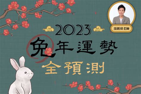 2023年生肖豬|2023年12生肖運勢大全——生肖豬